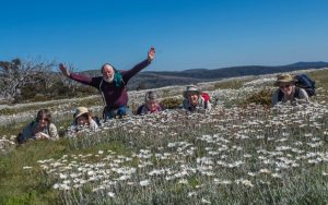 Bush walkers in field of daisies