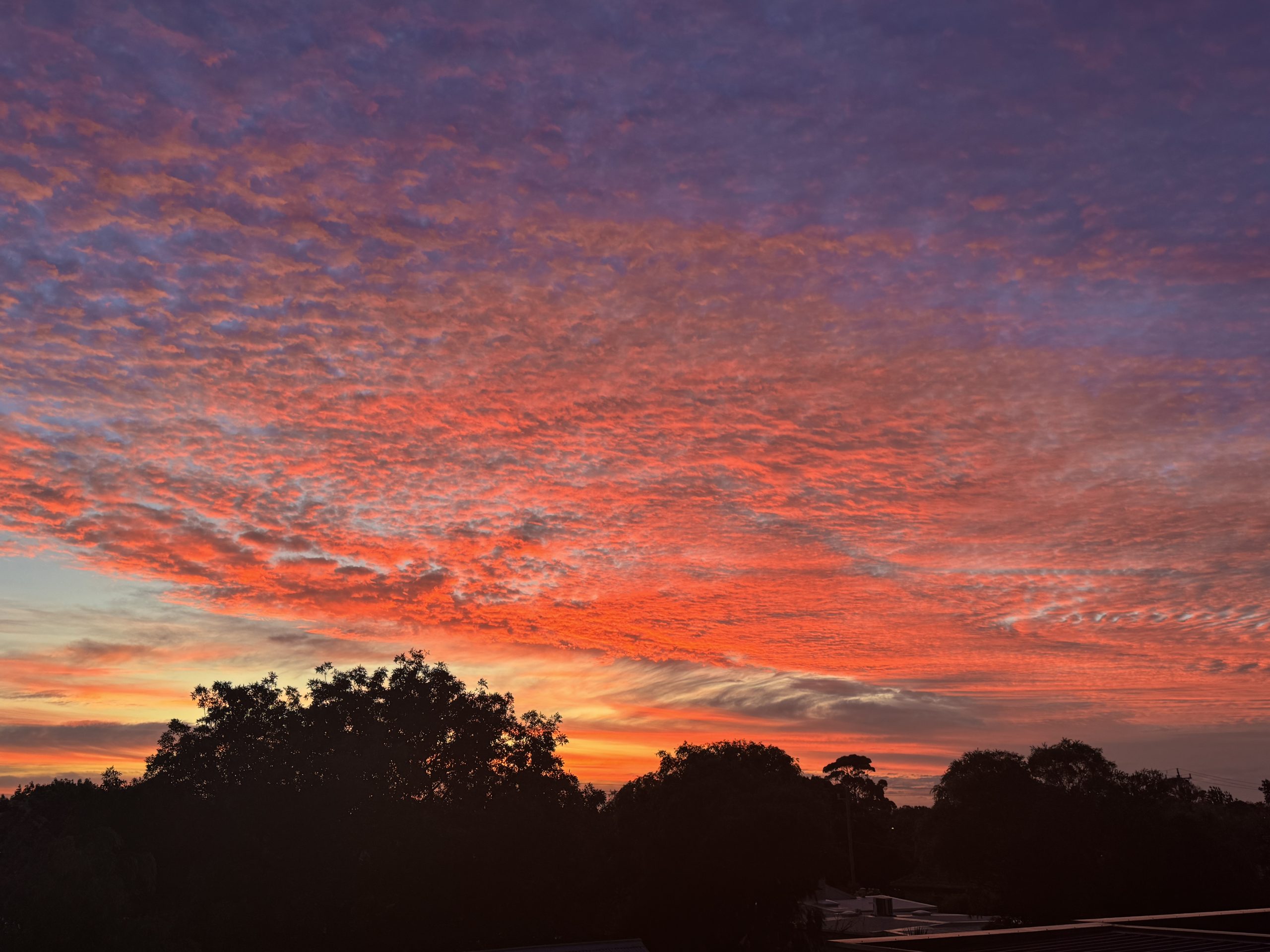 Fiery red sunrise by Fiona Basile