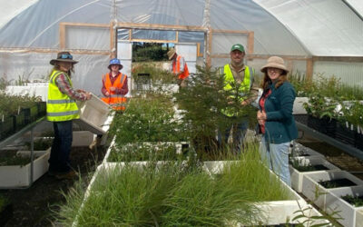 Tree Start Network: A Growing Community Effort