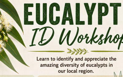 Highways and Byways grant supports Eucalypt ID Workshop
